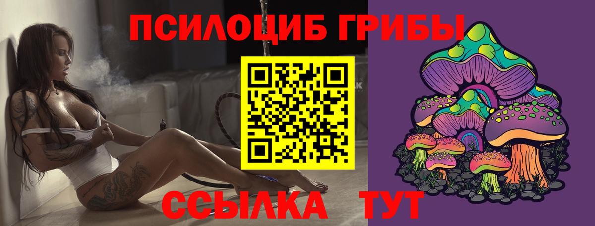 Галлюциногенные грибы Cubensis  Вход с VPN  Рыбинск 