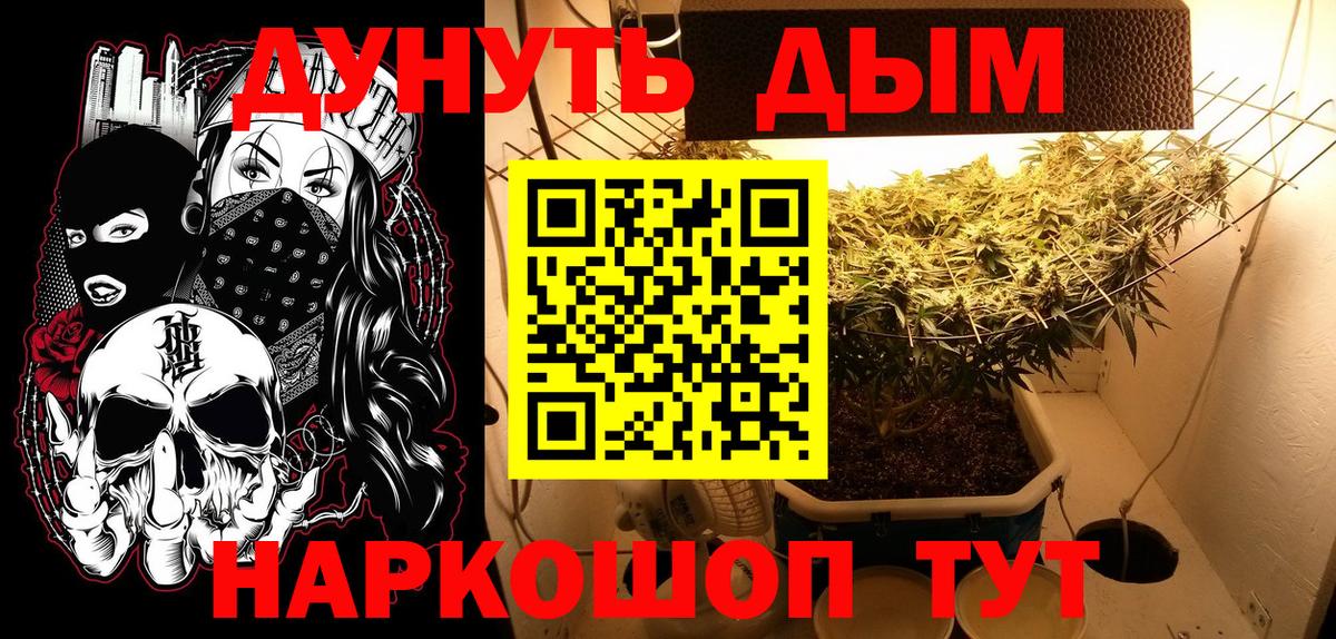 Бошки Шишки планчик Рыбинск